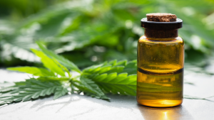 CBD Oil: The New Wellness Trend Sweeping The Nation